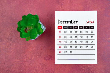 Calendar page for December 2024 and houseplant on retro background.