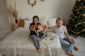 Happy beautiful couple with shiba inu dog at christmas at home