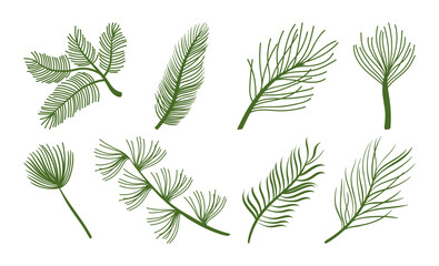 background of flora and palm leaves