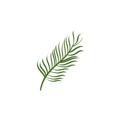 background of flora and palm leaves