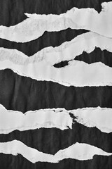 Black and White Torn Paper Collage Style, Ripped Paper Effect, Texture Abstract Background, Copy...