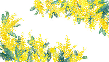 ミモザ水彩イラストの2隅装飾フレーム。春のイメージ背景。