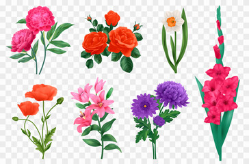 Obraz premium Realistic flowers set