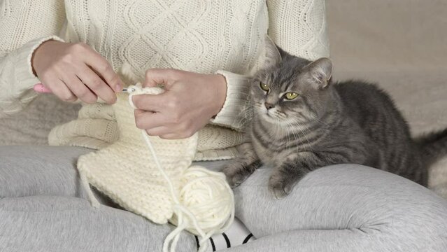 Crochet close-up. An unrecognizable girl is crocheting with a cat in her arms. View straight ahead.
