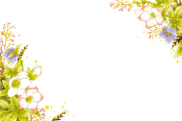 Watercolor painted flower frame. Hellebore. Christmas rose.