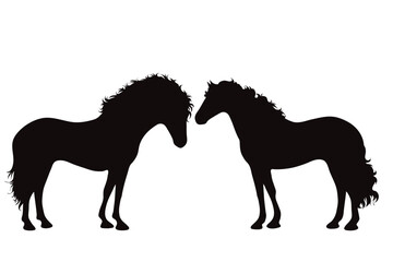 Vector silhouette of couple of horses on white background. Symbol of stallion and horse riding.