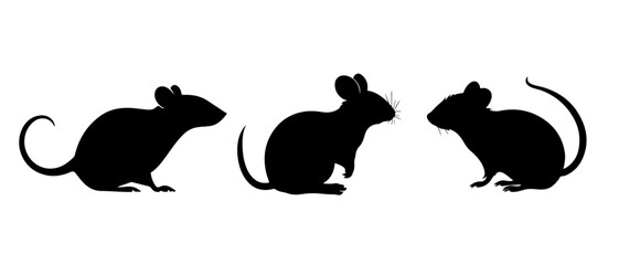 Black mouse vector, mouse silhouette isolated on white background - obrazy, fototapety, plakaty