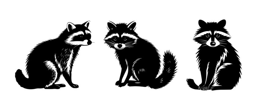 Black racoon vector, mouse silhouette isolated on white background