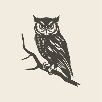 Vector vintage logo owl template illustration
