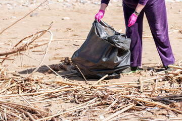 Volunteer collecting trash on the beach. Environment concept.