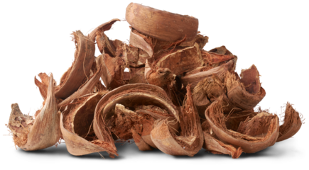 pile of dried coconut husk or coir, commercially important natural fiber extracted from outer husk of coconut fruit, popular in gardening, sustainable alternative growing mediums isolated on white