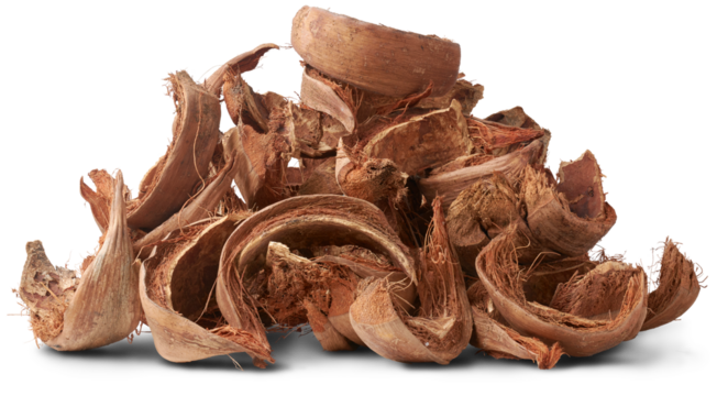 pile of dried coconut husk or coir, commercially important natural fiber extracted from outer husk of coconut fruit, popular in gardening, sustainable alternative growing mediums isolated on white