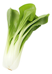 bok choy isolated on white