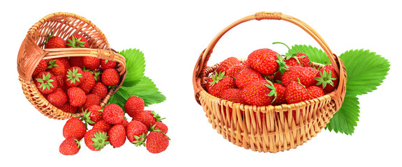 Strawberry in wicker basket isolated on white background. Fresh berry with full depth of field