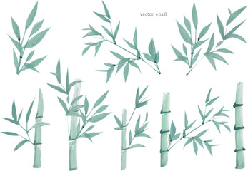 collection of watercolor bamboo plants. east art ink painting - 693536878