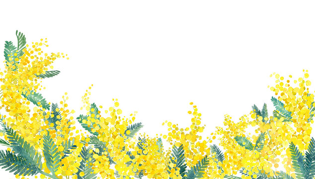 Mimosa Illustration」の写真素材 | 22,600件の無料イラスト画像