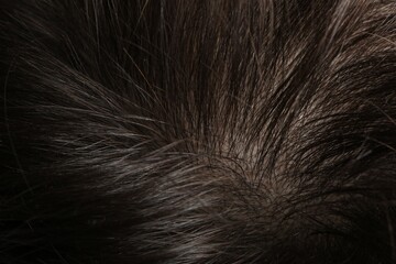 Man with healthy dark hair, macro view