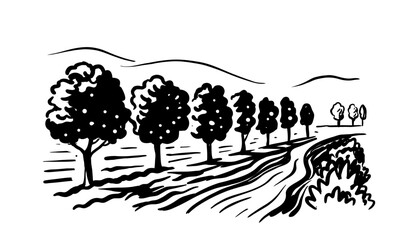 Apple garden landscape sketch illustration