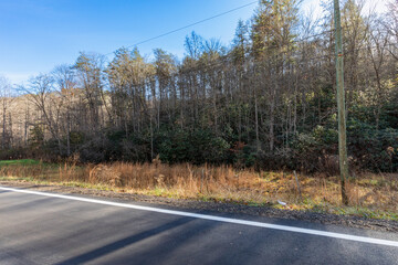 Obraz premium wooded land and mountain views