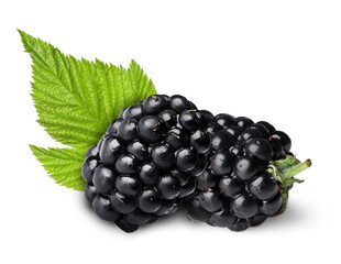 Tasty ripe blackberries and green leaves isolated on white