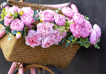 Wicker basket with blooming beautiful pink peonies on bike handlebars close-up. Love, romance and relationships