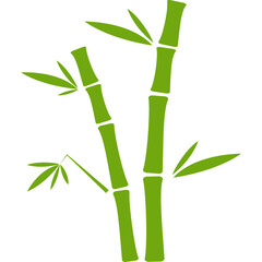 Fototapeta na wymiar Bamboo Stalk Icon 