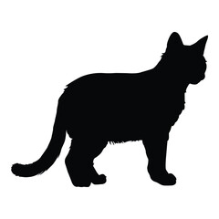 black cat silhouette on white