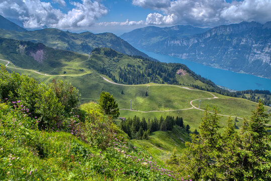View of idyllic mountain scenery in the Alps with fresh green meadows in bloom on a beautiful sunny day in springtime. Hiking trail in Flumserberg region in Swiss Alps, Switzerland 