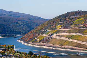 View from Rochusberg near Bingen of the Rhine with the Mouse Tower in the Rhine and the Ehrenfels...