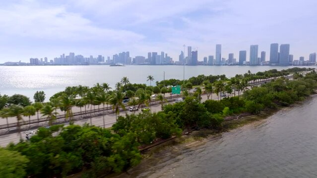 Tree landscape on the Julia Tuttle Causeway Miami Beach with view of downtown in background