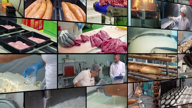 Food Industry. Basic Food Items Production. Meat Processing Plant. Bread Factory. Dairy Product Manufacturing. Sugar Production in Sugar Refinery. 