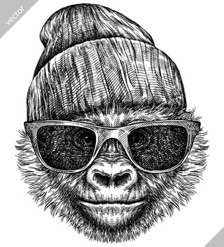 Vintage engraving isolated gorilla set glasses dressed fashion illustration ape ink sketch. Monkey kong background primate silhouette sunglasses hipster hat art. Black and white drawn vector image