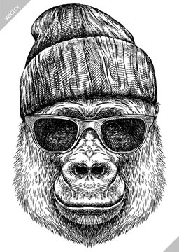 Vintage engraving isolated gorilla set glasses dressed fashion illustration ape ink sketch. Monkey kong background primate silhouette sunglasses hipster hat art. Black and white drawn vector image