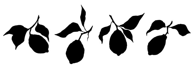 Set of lemon citrus fruit silhouettes. Vector graphics.