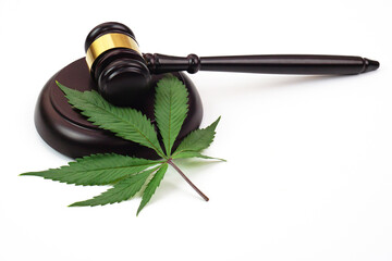 Cannabis leaf or marijuana leaf with judge hammer on white background. Law, judiciary concept.