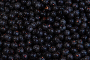 Açaí originating from the Amazon.jpg