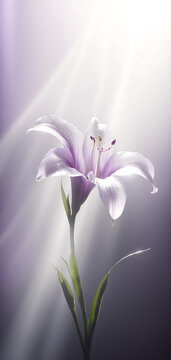 Elegant Flower Vertical Background, Hazy Purple Mobile Wallpaper