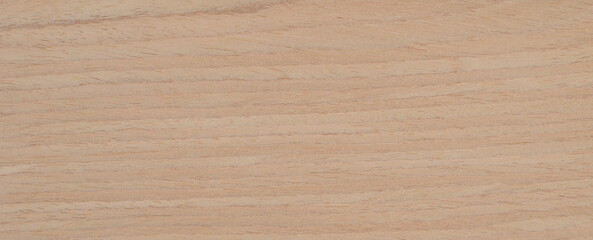 Natural Oak wood panel texture panorama pattern - obrazy, fototapety, plakaty