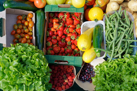 r&eacute;colte de fruits et l&eacute;gumes &agrave; la fin de l'&eacute;t&eacute;