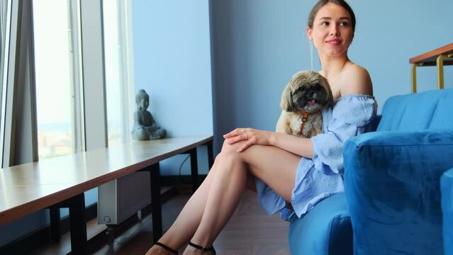 Young woman in dress hugs shih tzu dog during photo session. Woman with bare legs holds shih tzu doggy at company resting premise