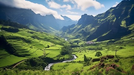 A serene mountain plateau on Madeira Island, with its lush meadows, blooming wildflowers, and grazing sheep, offering a peaceful sanctuary amidst the grandeur of the surrounding peaks.