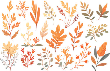 set of leaf collection vector illustration design nature, plant botanical element floral decoration graphic art spring summer i