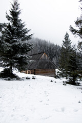 Cabin in the Mountains Snowy Forest Wooden Cottage Tatra Mountains Rusinowa Polana © Paulina