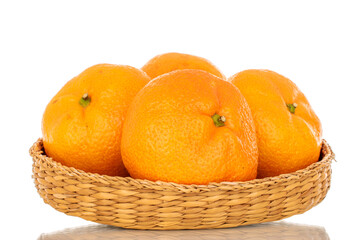 Several juicy sweet tangerines in a straw plate, macro, isolated on white background.
