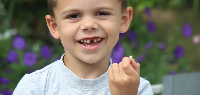 The child lost a tooth. Selective focus.Concept baby tooth