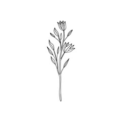 Botanical linear flower art. Minimalist elegant drawing, small floral element, fine line tattoo sketch. Vector design