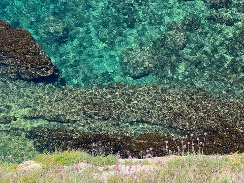 Aerial view beautiful sea water and rocky coast with wild flowers