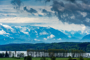 Die schöne Natur in Taching in Bayern mit Blick auf Weiden Berge und See