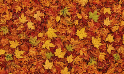 An autumn leaves background