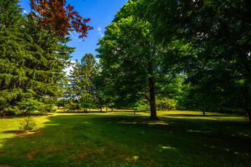 Obraz premium Home of Franklin D. Roosevelt